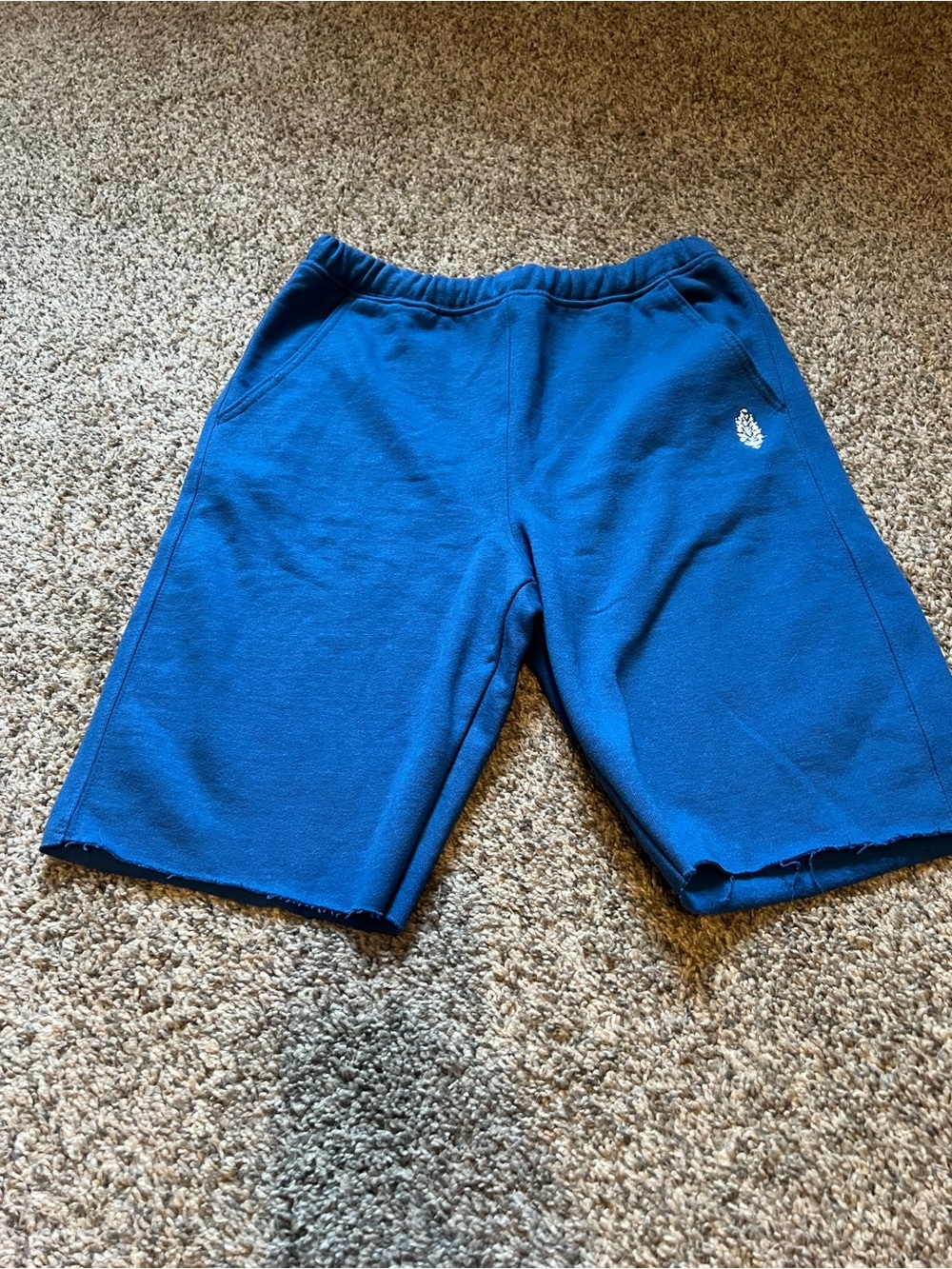 Free People Blue Athletic Fleece Shorts